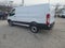 2025 Ford Transit Cargo Van T-250 130 Low Rf 9070 GVWR RWD