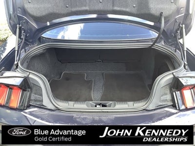 2024 Ford Mustang Dark Horse